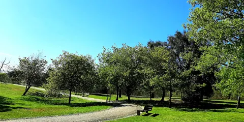 Parque de Avioso - S. Pedro