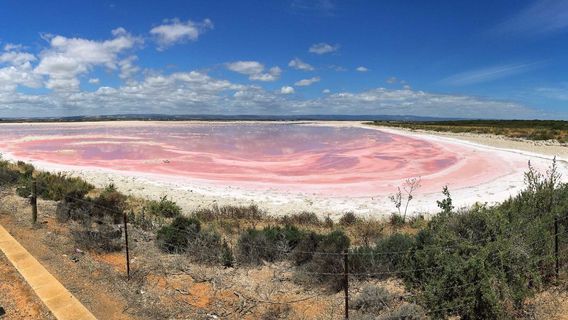 St Kilda Mangrove Trail