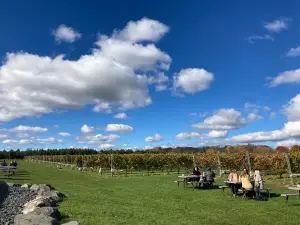 Dancing Dragonfly Winery