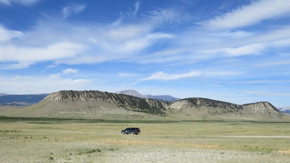 The Montana Dinosaur Center