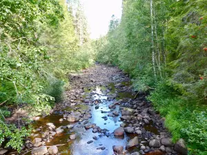 Springkallan