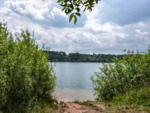 Astbury Mere Country Park