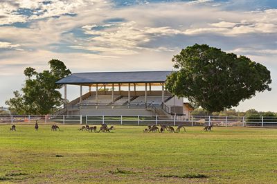 Longreach Region Explore Centre (Visitor Information)