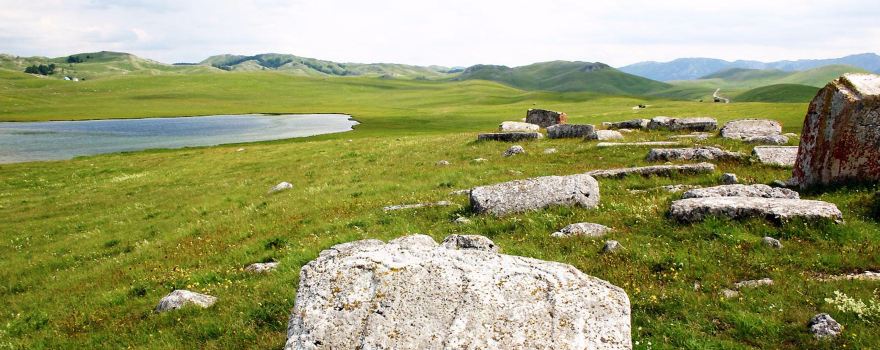 Novakovici