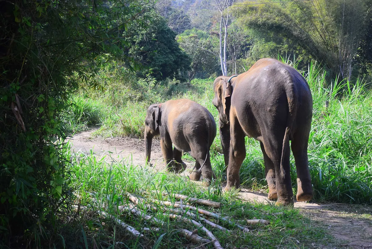 3_大象修養公園