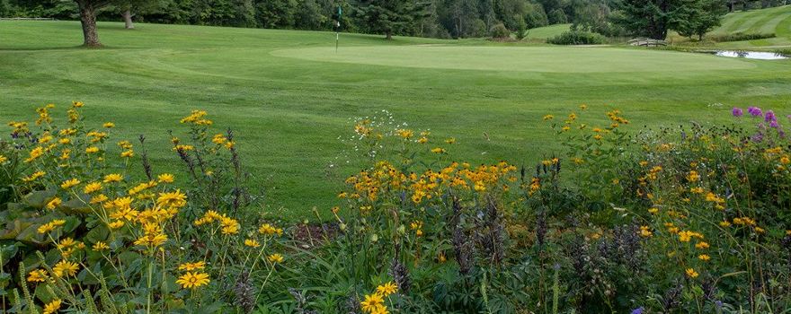 Tater Hill Golf Course