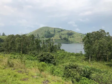 Burahya