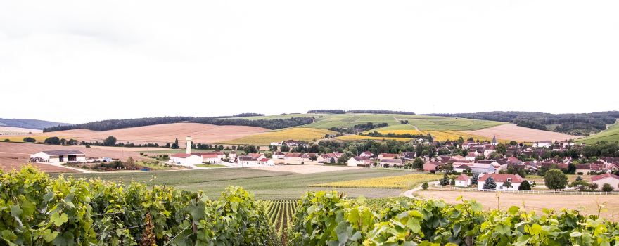 Champagne Marin & Fils