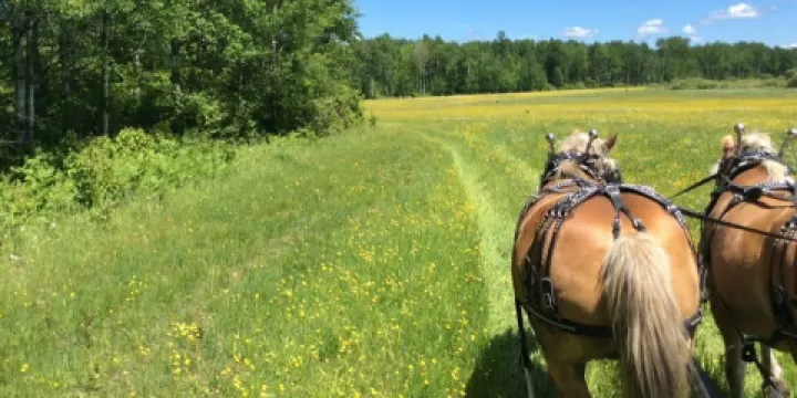 Cook's Country Connection