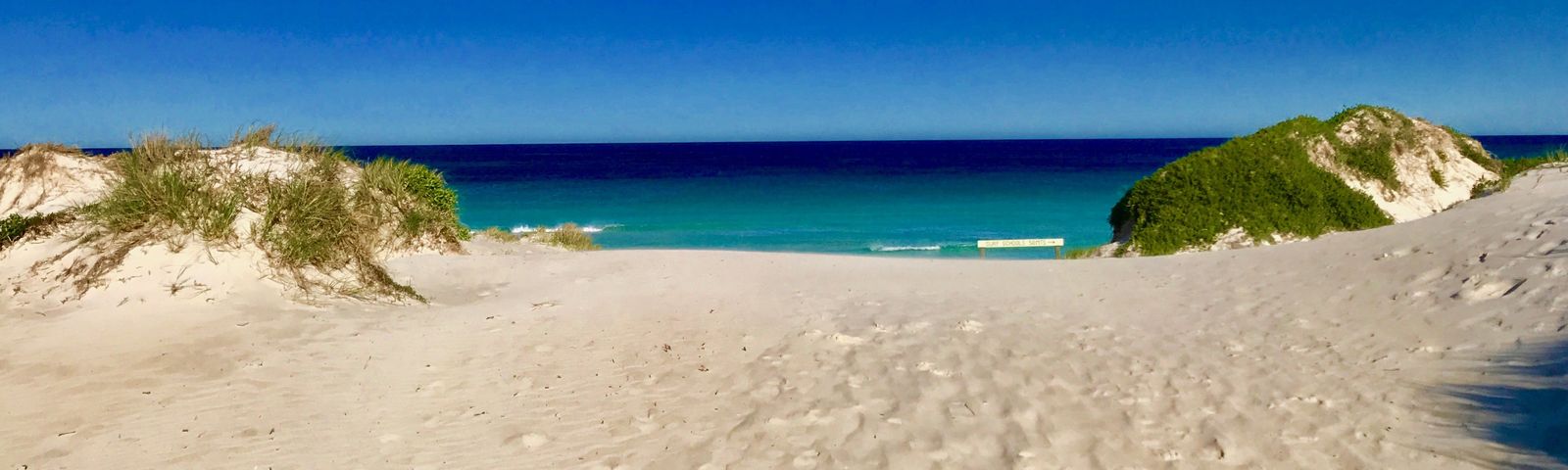 랜셀린데이 투어