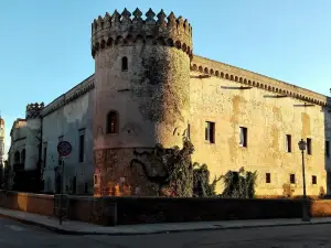 Ducal Castle