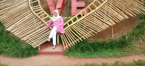 Hotels in Ciwidey
