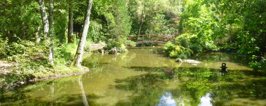 Parc botanique de la Teyssonnière