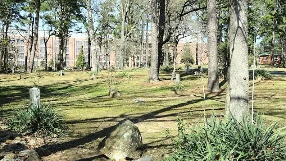 Old Chapel Hill Cemetery