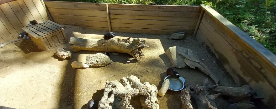 Jardin animalier de Mialet