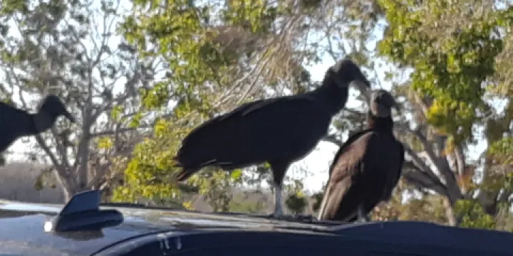 Church By the Glades