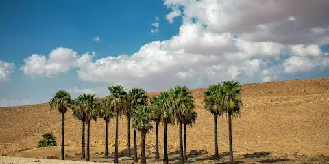 Arad Contemporary Art Center