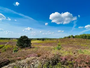 Punkt widokowy na Diabelskie Pustacie