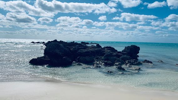 Barbary Beach