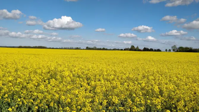 Trebeltal - district Demmin