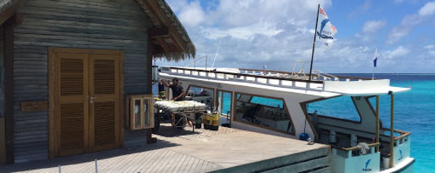 Blue Tribe Water Sports And Diving Centre