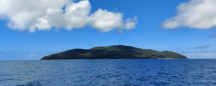 Pelorus Island