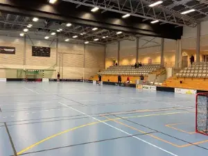 new Arena