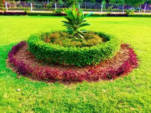 Gandhi Park