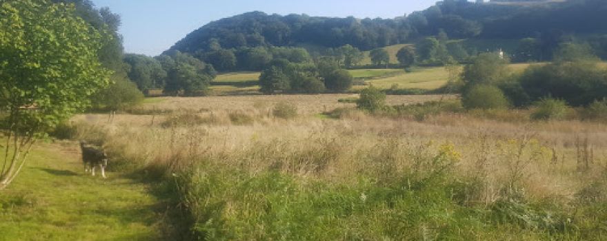 Mid Wales Wildlife Sanctuary