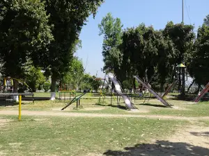 Shimla Pahari