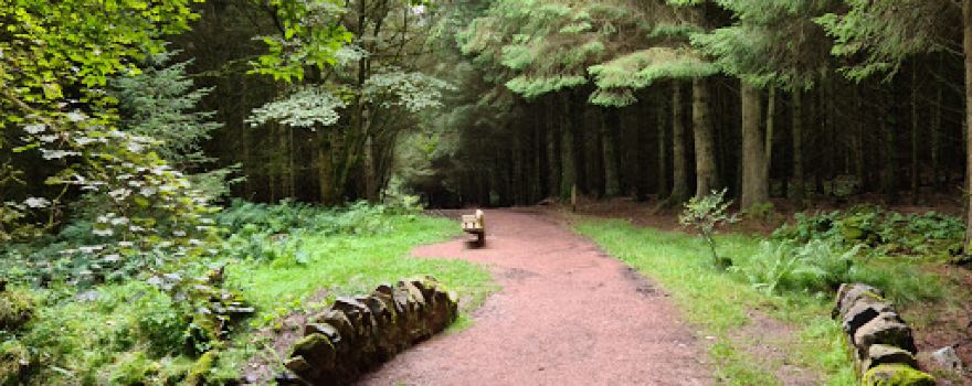 Blairadam Forest Fairy Trail