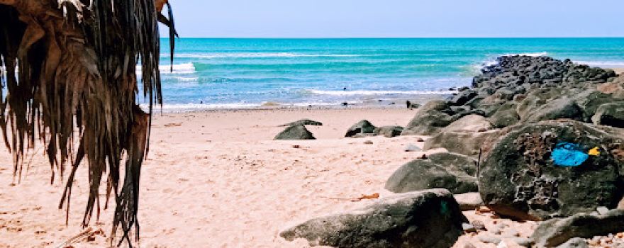 Nielson Beach