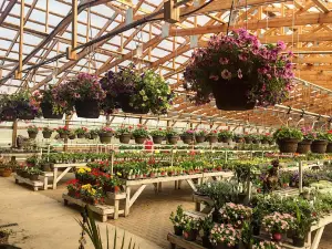 Greenwood Nursery Marshall