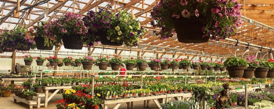 Greenwood Nursery Marshall
