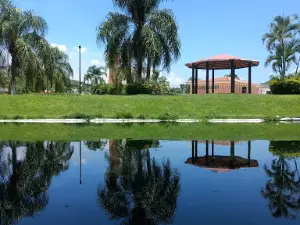 El Axocoche