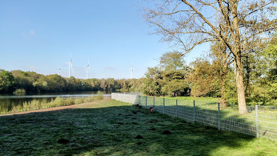Hundefreilaufwiese am Mahndorfer See