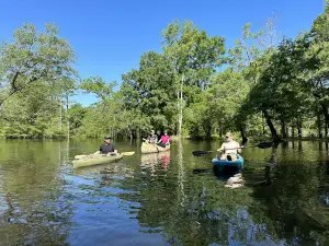 Wooley Swamp Farms
