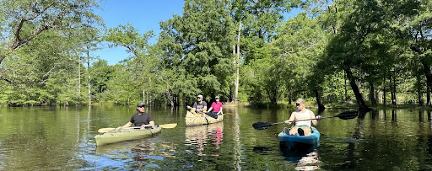 Wooley Swamp Farms