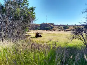 Mexico Park