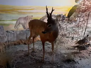 Doğa ve Yaşam Müzesi