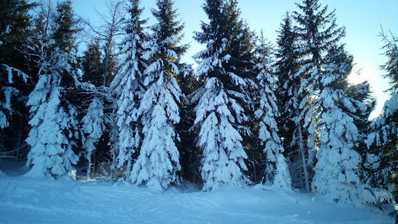 Gemeinde Bad Grosspertholz