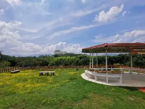 Plantera Fruit Paradise (Ngebruk)