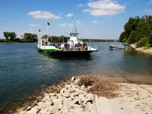Kühkopf-Knoblochsaue