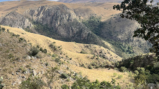 Malolotja Canopy Tour