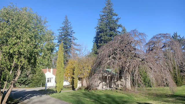 Queen Mary Hospital Historic Reserve