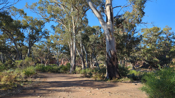Leigh Creek