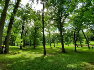 Carter's Park