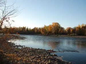 Река Курчум