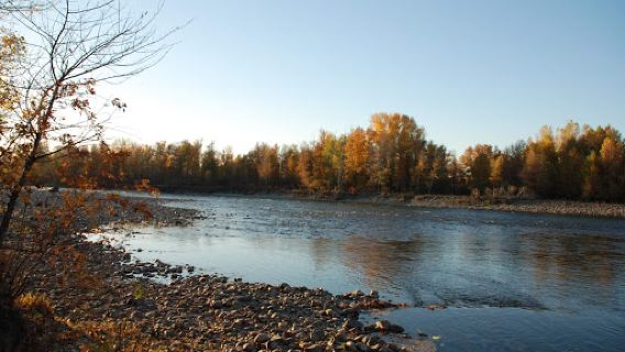 Kurchum River