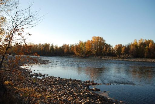 Kurchum River